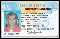 check drivers mn ids bouncers lets fake app look licenses smartphone